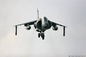 royal_navy_sea_harrier_at_rnas_yeovilton_img_9228.jpg