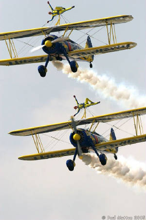 utterly_butterly_wing_walkers_stacked_img_9171.jpg